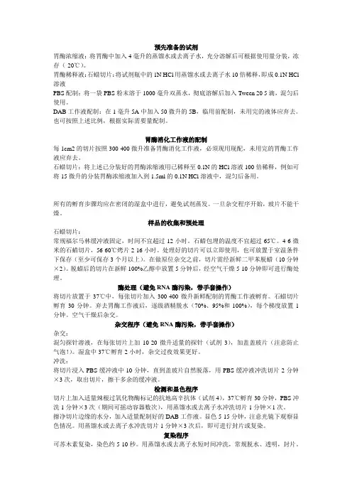 EBER原位杂交过程