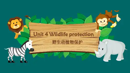 人教高中英语必修2Unit4 Learning about Language课件 (4)