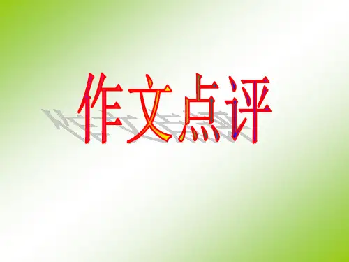 作文点评