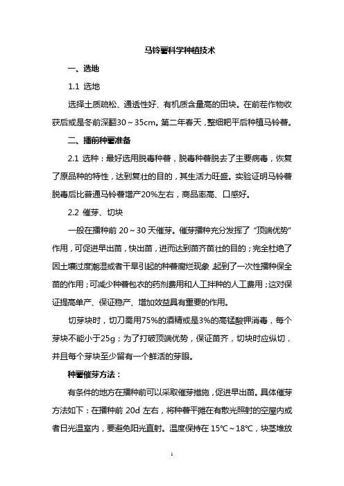 马铃薯科学种植技术