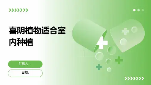 喜阴植物适合室内种植