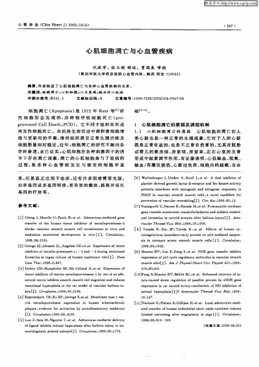 心肌细胞凋亡与心血管疾病