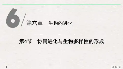 《协同进化与生物多样性的形成》生物的进化ppt课件【完美版课件】