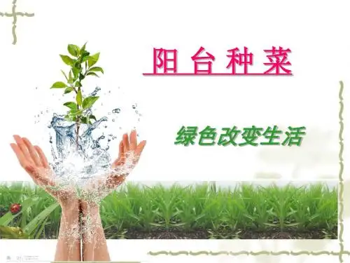 绿色改变生活之阳台种菜
