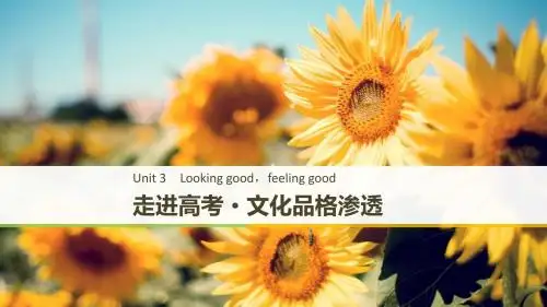2018-2019学年高一英语译林版必修1新设计同步课件:Unit 3 走进高考 文化品格渗透