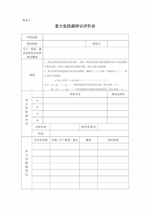 重大危险源辨识、分级、风险评价表
