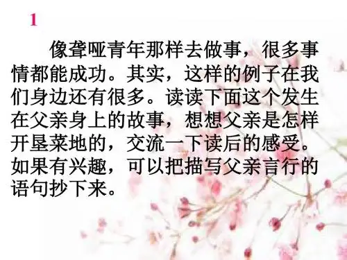 28、父亲的菜园2016新版