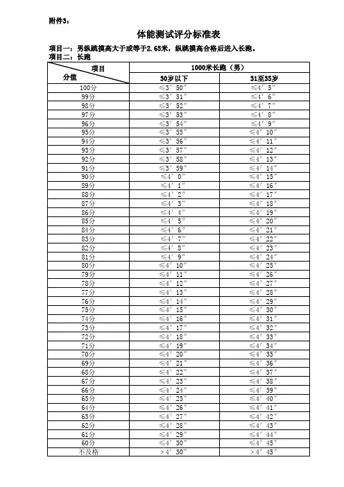 体能测试评分标准