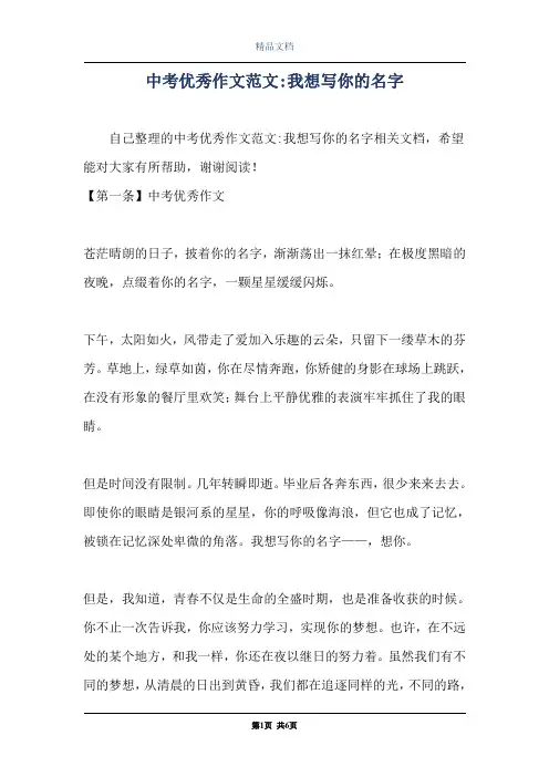 中考优秀作文范文-我想写你的名字
