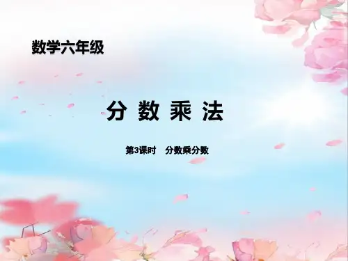 3.分数乘分数第一课时-张亚宁