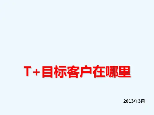 T目标客户