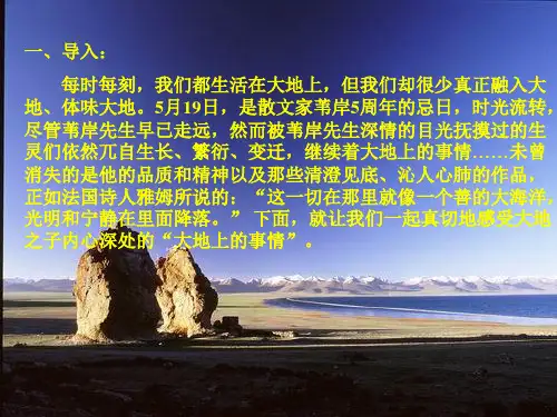 大地上的事情 ppt