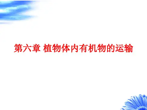 植物生理学-第六章 植物体内有机物的运输