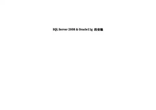 SQL2008 & Oracle11g 64bit安装配置参考