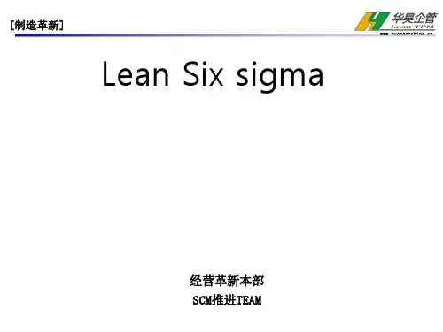 Lean Six sigma Lean 方法与六西格玛