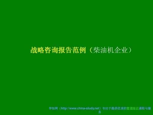 战略咨询报告范例(柴油机企业)