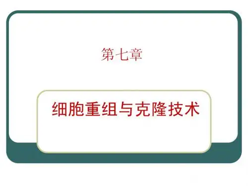 克隆技术