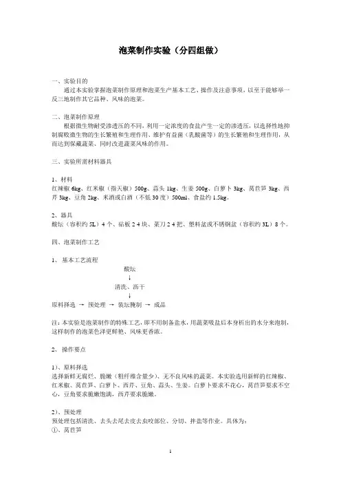 泡菜制作实验