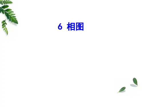 第6章相平衡