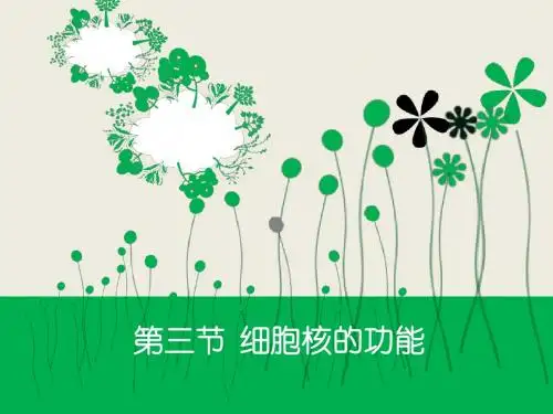 3.3细胞核-系统的控制中心