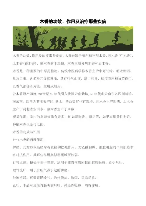 【推荐】木香的功效、作用及治疗那些疾病
