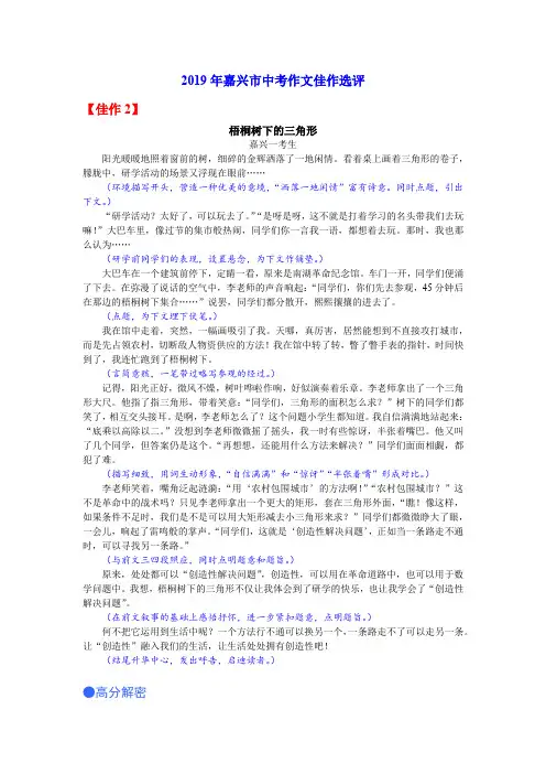 2019年嘉兴市中考作文佳作选评
