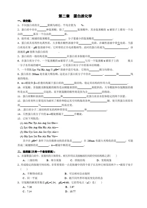 生物化学 第2章 蛋白质化学 2