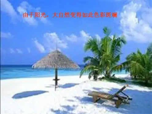 光的传播ppt