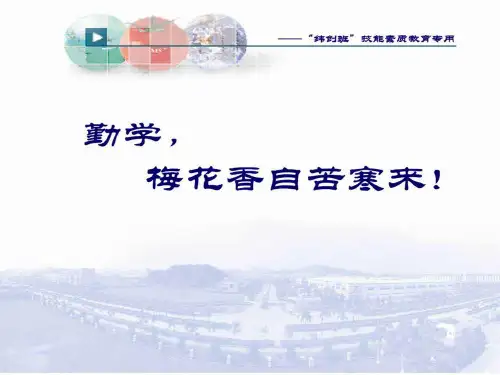 无线接口简介