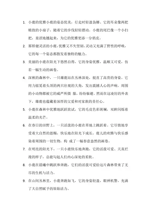 描写小鹿的优美句子 (2)