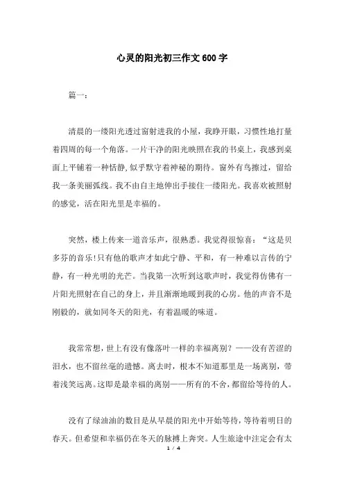 心灵的阳光初三作文600字