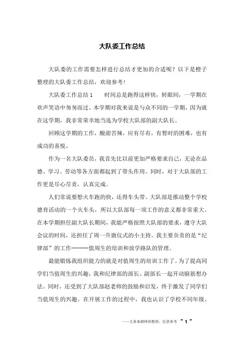 大队委工作总结