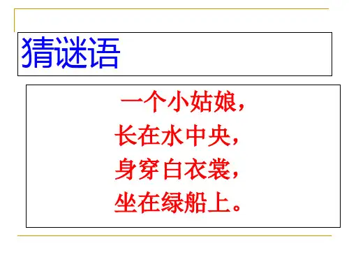 【部编版】荷花教学课件1