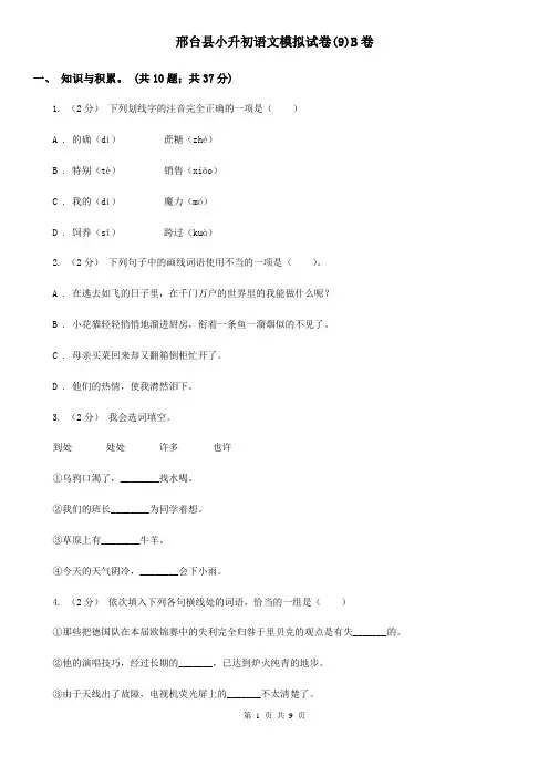 邢台县小升初语文模拟试卷(9)B卷