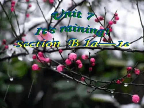 2015七年级英语下   Unit7   It's raining !     Section   B