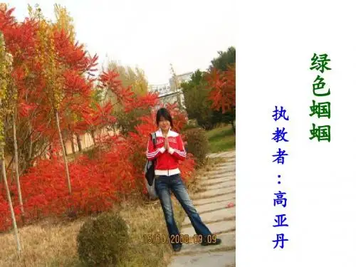 绿色蝈蝈公开课课件