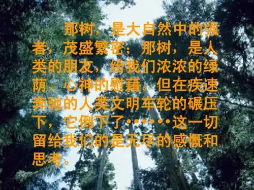 那树