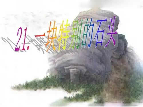 21.一块特别的石头(公开课
