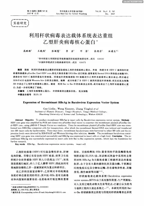 利用杆状病毒表达载体系统表达重组乙型肝炎病毒核心蛋白