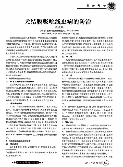 犬结膜吸吮线虫病的防治
