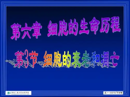 高一生物细胞的衰老和凋亡1