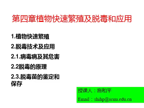 植物的快繁与脱毒培养PPT课件