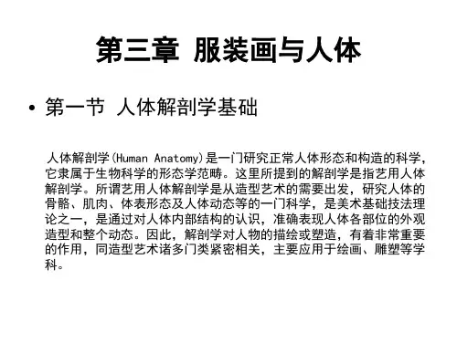 第三章 服装画与人体