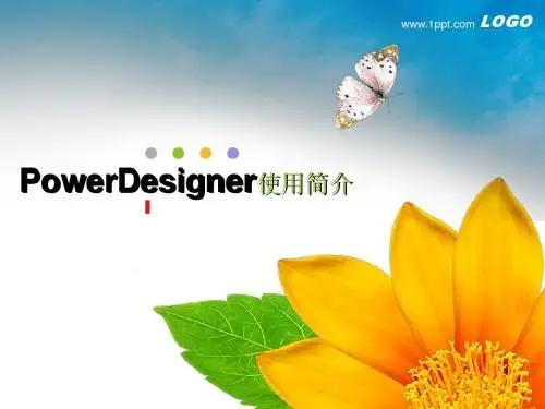 PowerDesigner