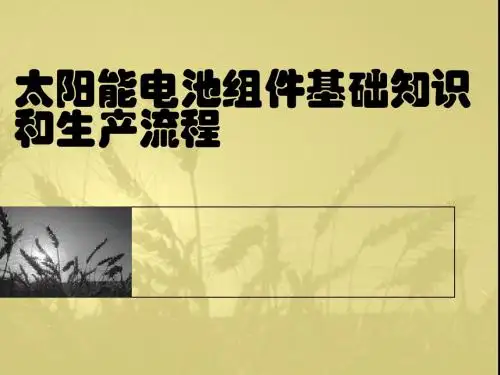 太阳能电池组件工艺流程介绍-PPT精选文档117页