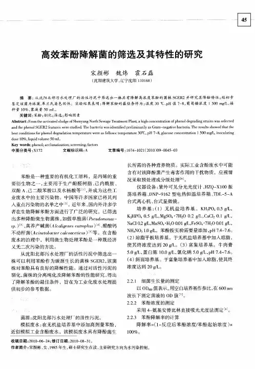 高效苯酚降解菌的筛选及其特性的研究