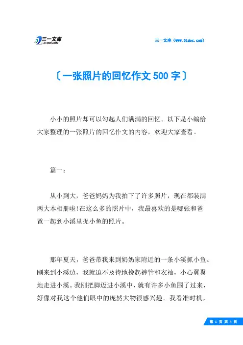 一张照片的回忆作文500字