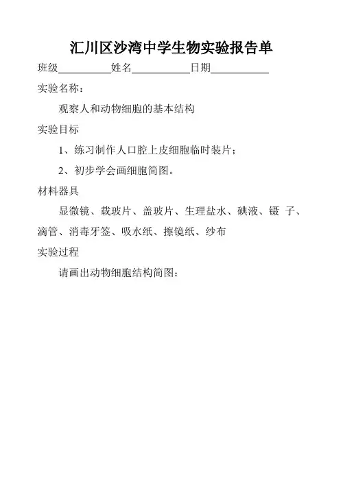 观察人和动物细胞的基本结构 2