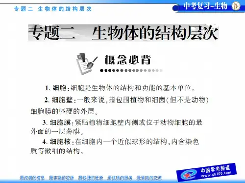[原创]2011年生物 中考复习 专题2 生物体的结构层次 同步配套课件