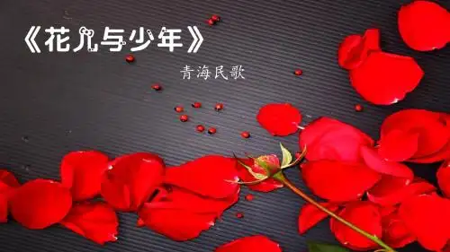 花儿与少年3
